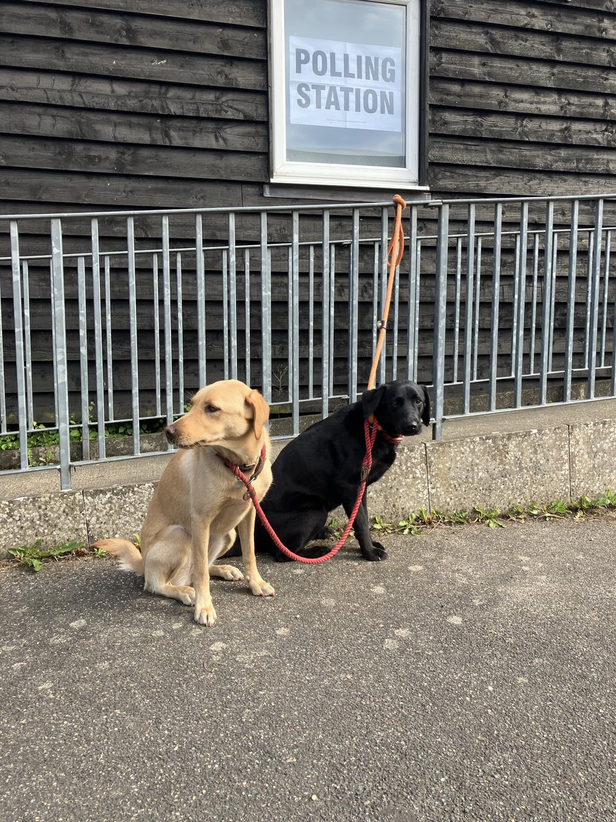 PortsWatch's tweet photo. #dogsatpollingstations https://t.co/dZSAT5Obwv