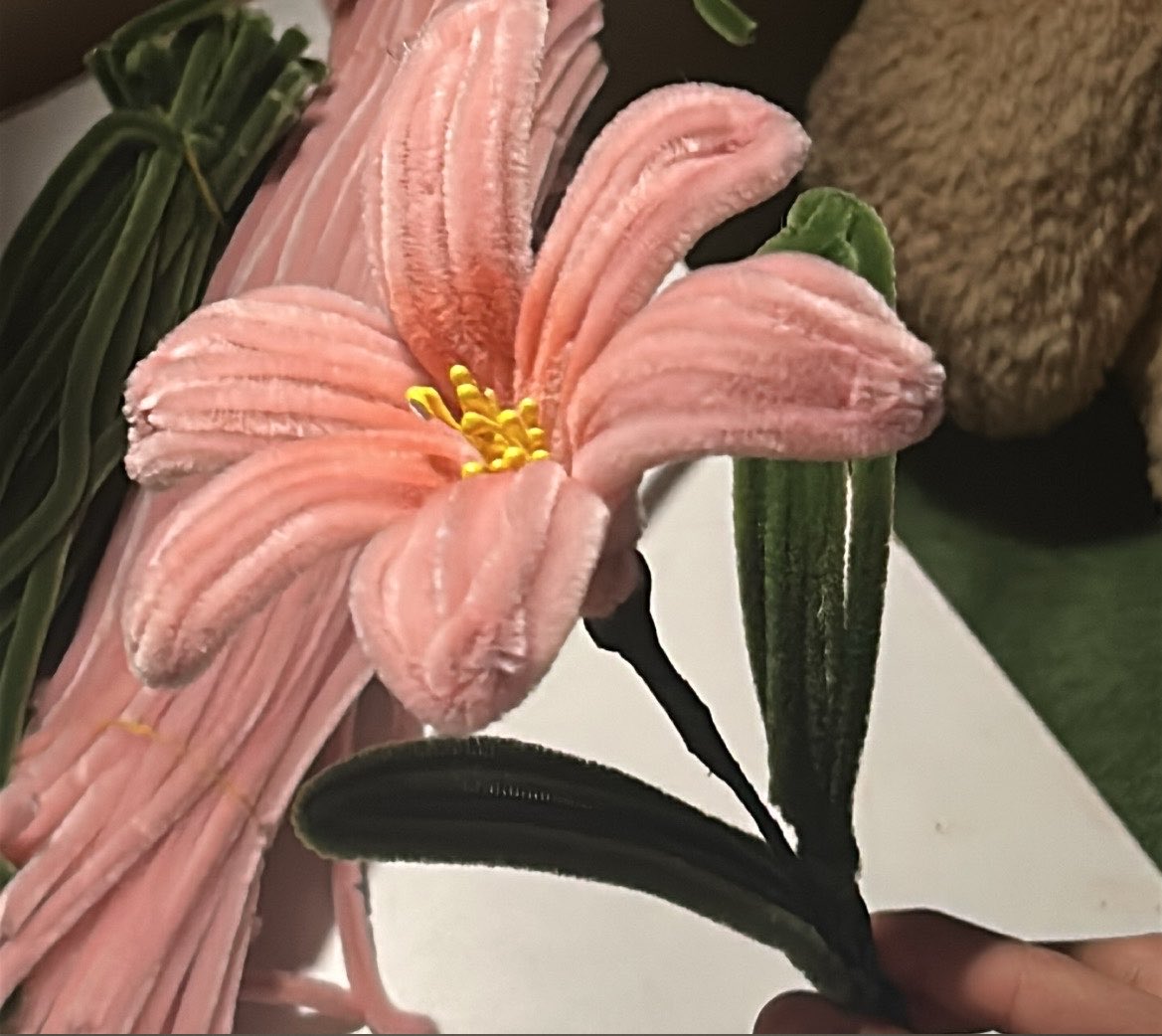 gjrlr's tweet photo. 🌷 https://t.co/zo8ftQlv2c
