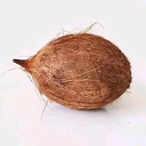 You have urgent bills to settle, House Rent, School Fees, Urgent m0nney to meet your basic needs
This is small but working
You may not get big m0nney, but something must come in atleast

Do this 👇

Get 2 coconuts

One native (local) egg

PROCEDURE;
