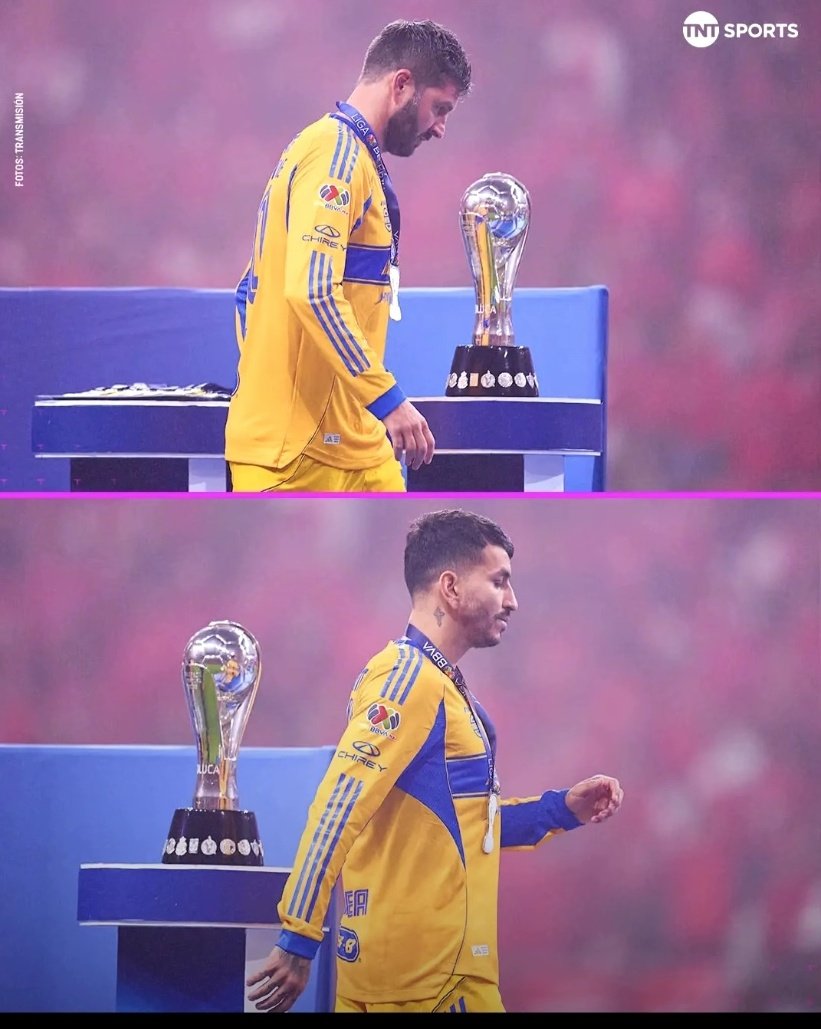 maxximo099's tweet photo. @TigresOficial no nos puede volver a pasar lo mismo https://t.co/LQbK9iZIKw