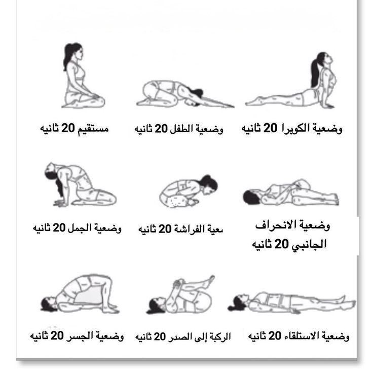 رفيف. tweet media