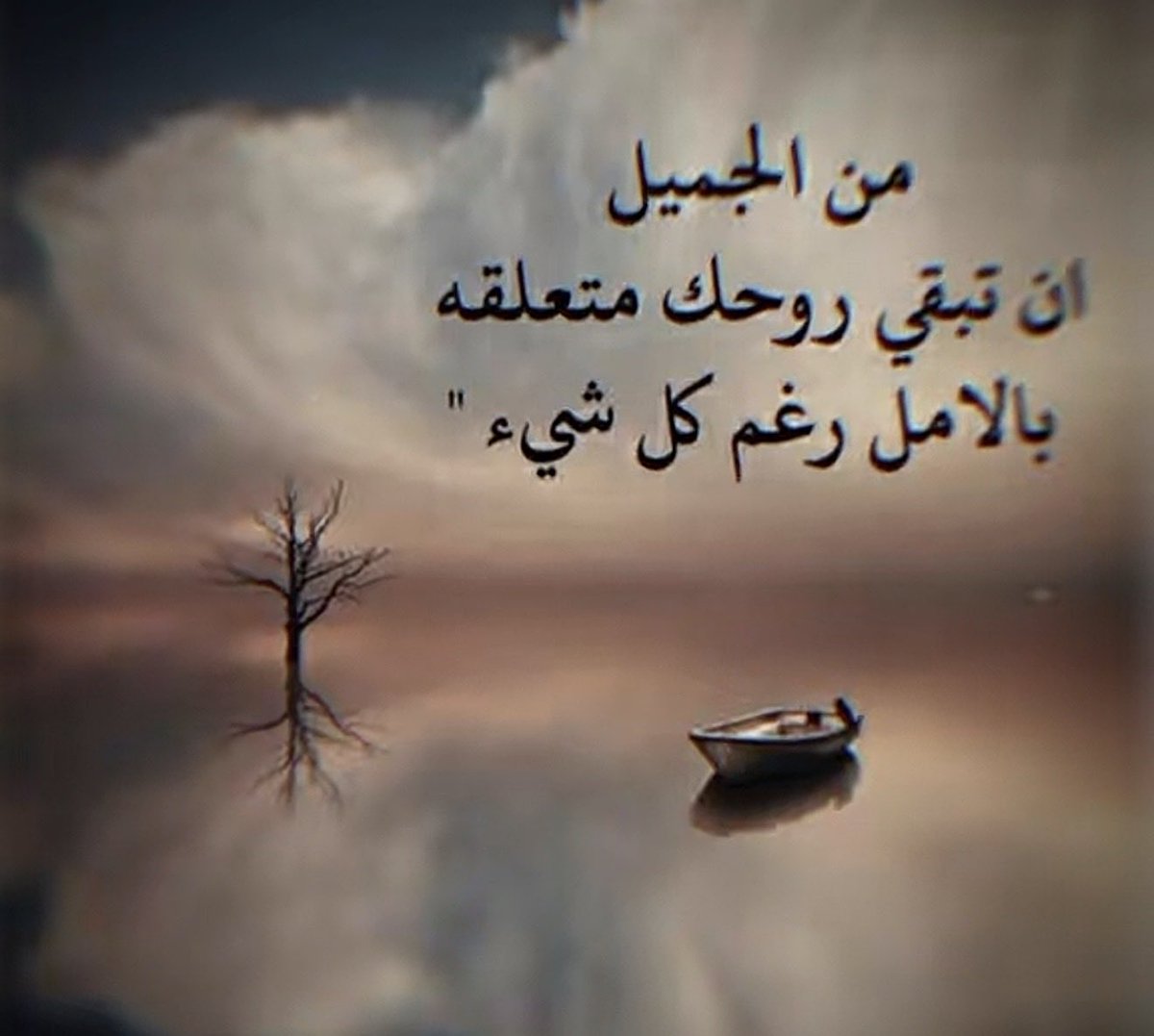 هشام الماجدي (@heshammajde) on Twitter photo 