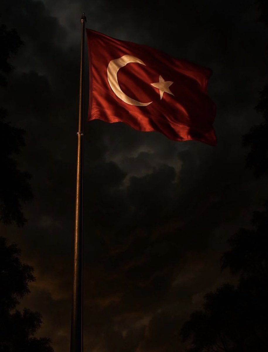 Senem tweet media