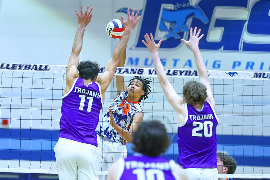 Illprepvb.com tweet media
