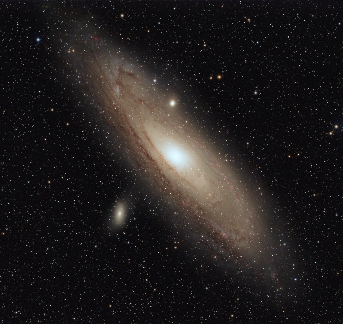 The beauty of the Andromeda Galaxy 🥹