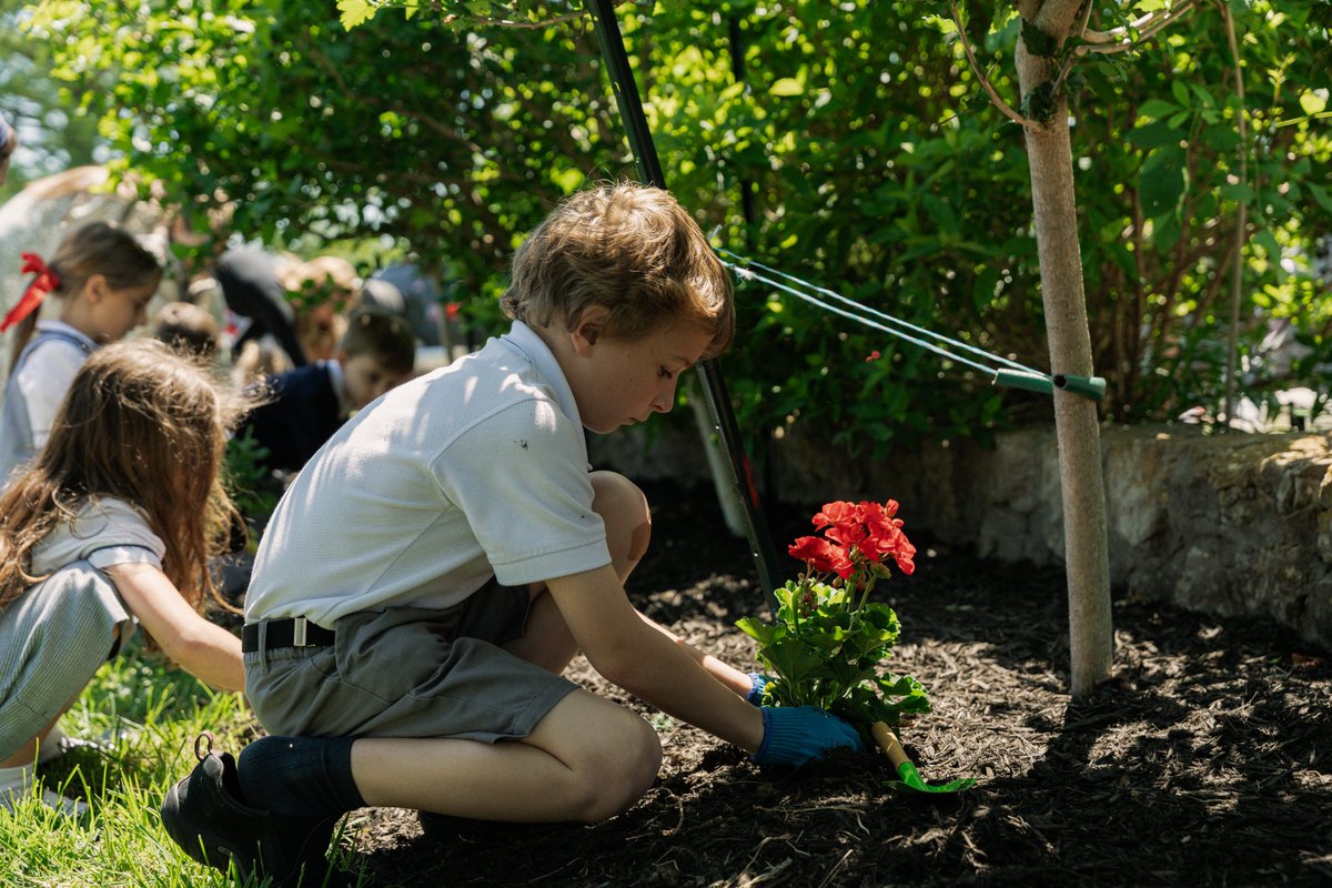 "You must do something to make the world more beautiful."
Inspired by their literature study of Miss Rumphius, our first graders celebrated with their annual garden party. They enjoyed crafts, snacks, and planting flowers to add a little more beauty to our campuses. 🌷🌻🪻