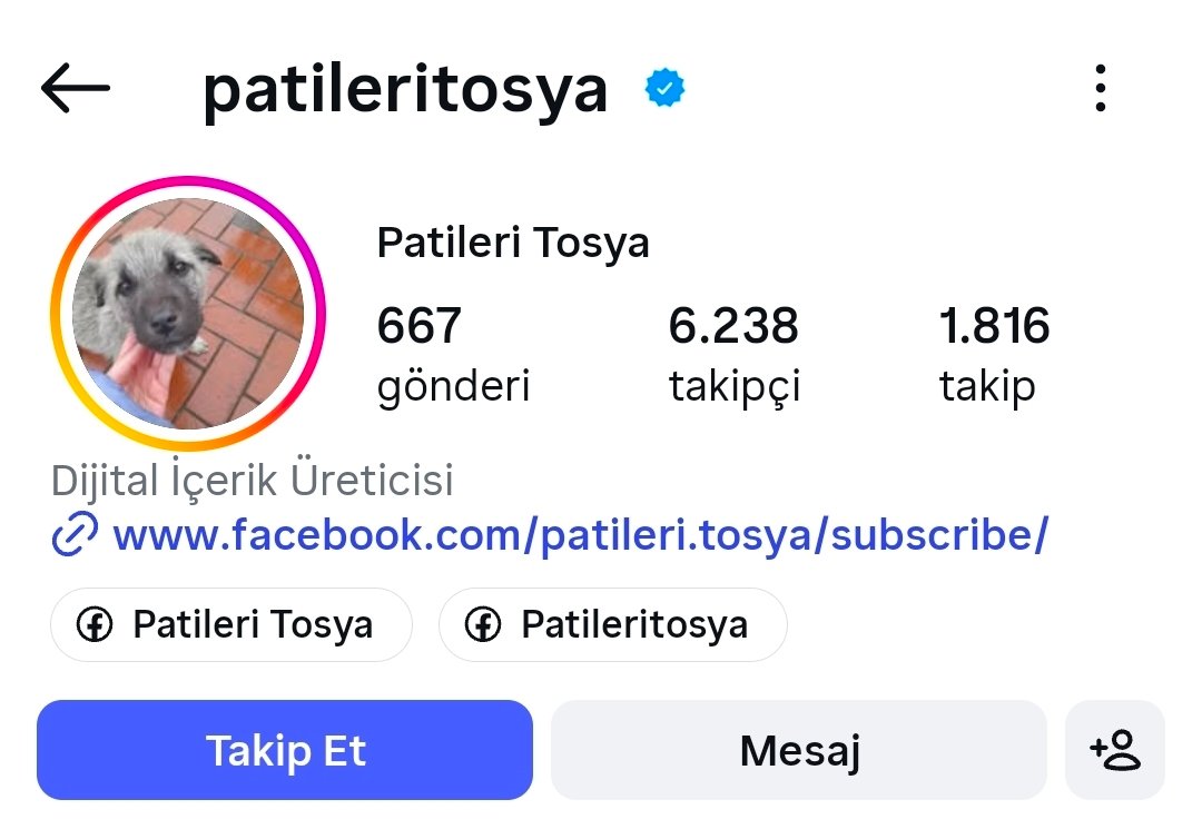 Köpek Haberleri tweet media