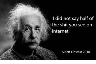 pammie tweet media
