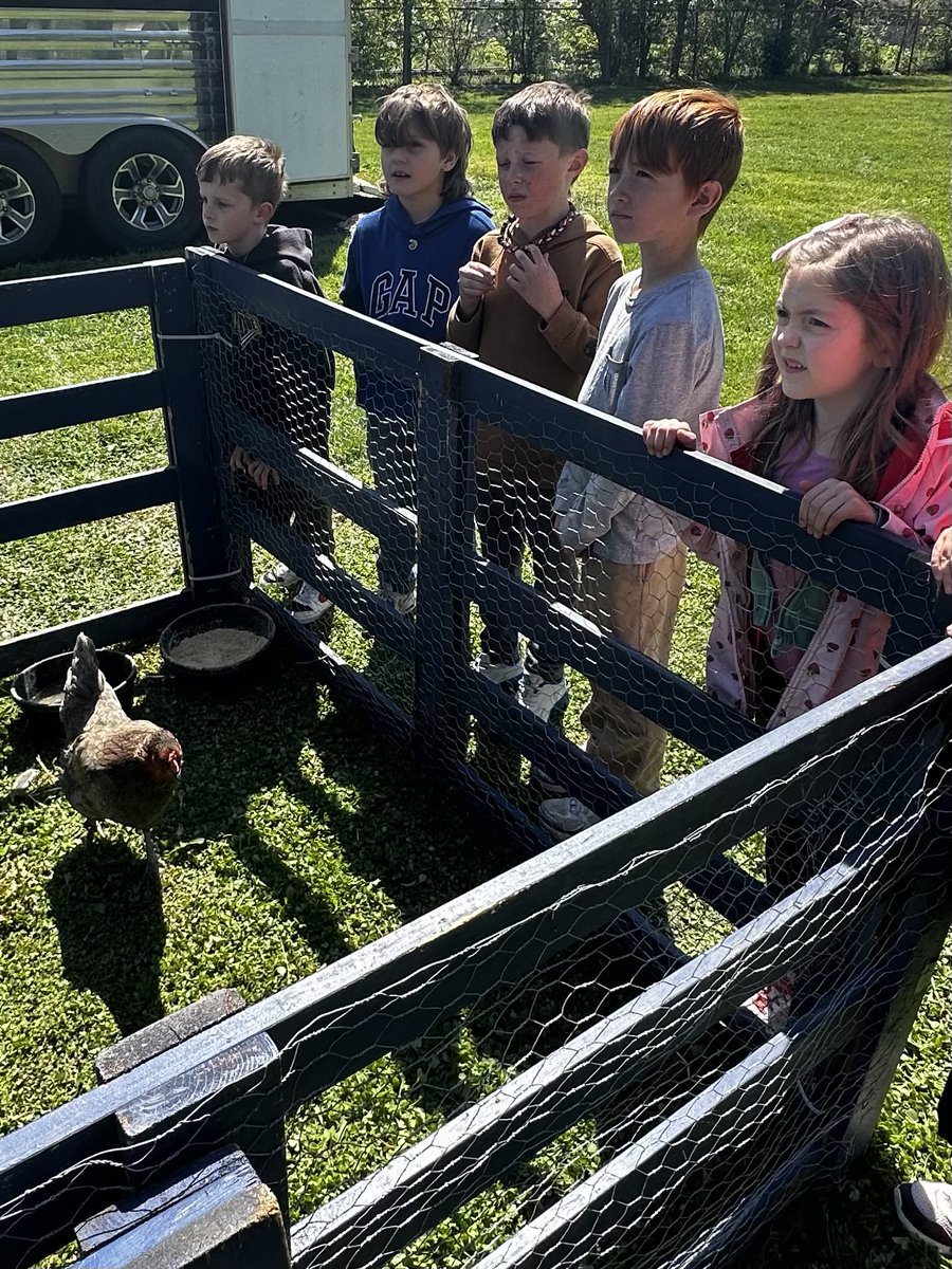 FrontierElem's tweet photo. FFA Petting Zoo 🐷 🐐 🐓 https://t.co/nbfvmcnOXi
