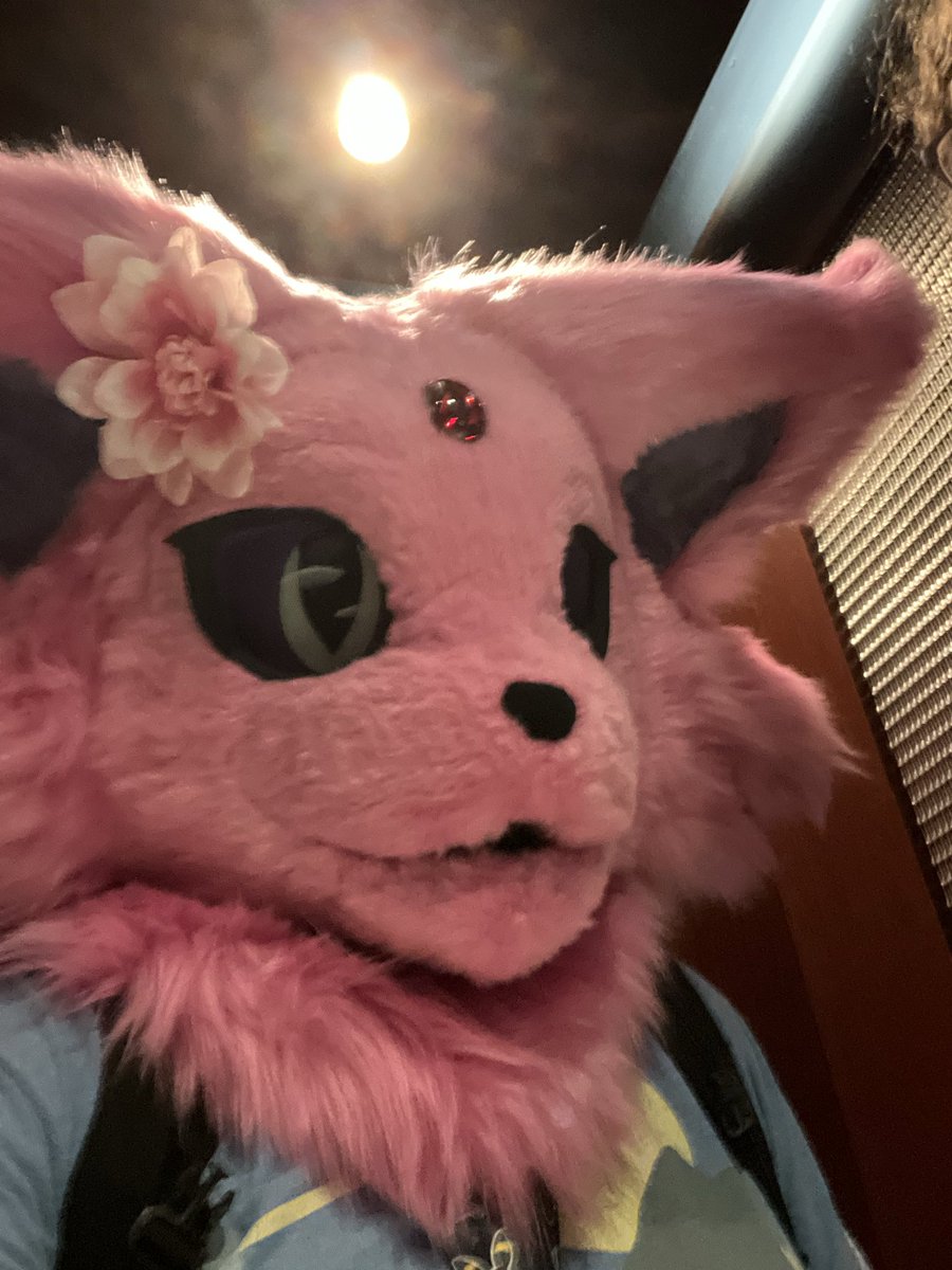 🔞Esmae the Espeon 🔞 tweet media