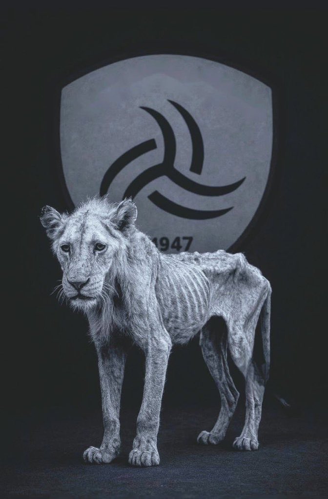 الى وزير الرياضة <a href="/AbdulazizTF/">عبدالعزيز بن تركي الفيصل</a> 
الى رجالله السلمي 
الى احمد عيد 
الى المتحدث الرسمي <a href="/spokesman_mos/">المتحدث الرسمي لوزارة الرياضة</a> 
الى كل اهلاوي في وزارة الرياضة

نيابة عن جماهير نادي #الشباب
احنا أسفين ان نادينا #نادي_الشباب تواجد في المباراة اللي تم خلالها هبوط النادي الاهلي الى يلو ونوعدكم والله العظيم لن