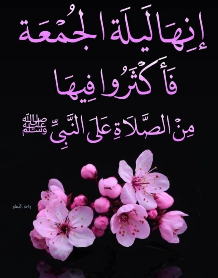 وتـــين 🌸 tweet media