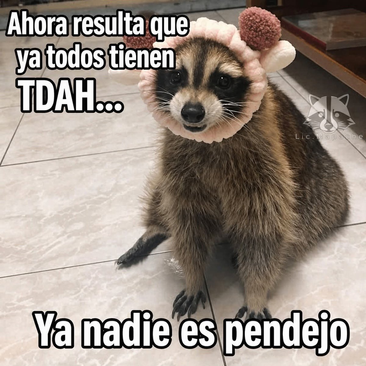 🇲🇽 México Mágico ✨ tweet media