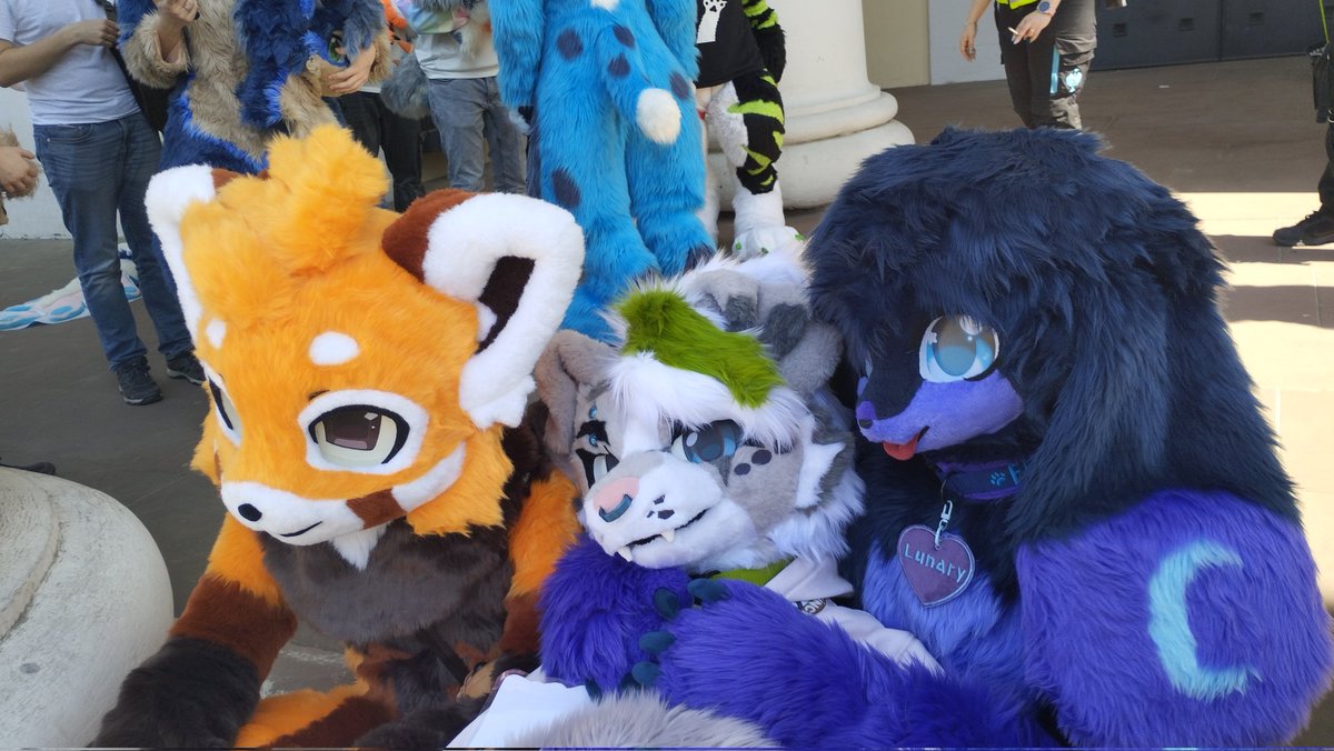 cappu_coffee0's tweet photo. I was on a furry walk a little while ago, it was super cool :3

I even got lend a furhead for that day https://t.co/IIU4b74P6Z