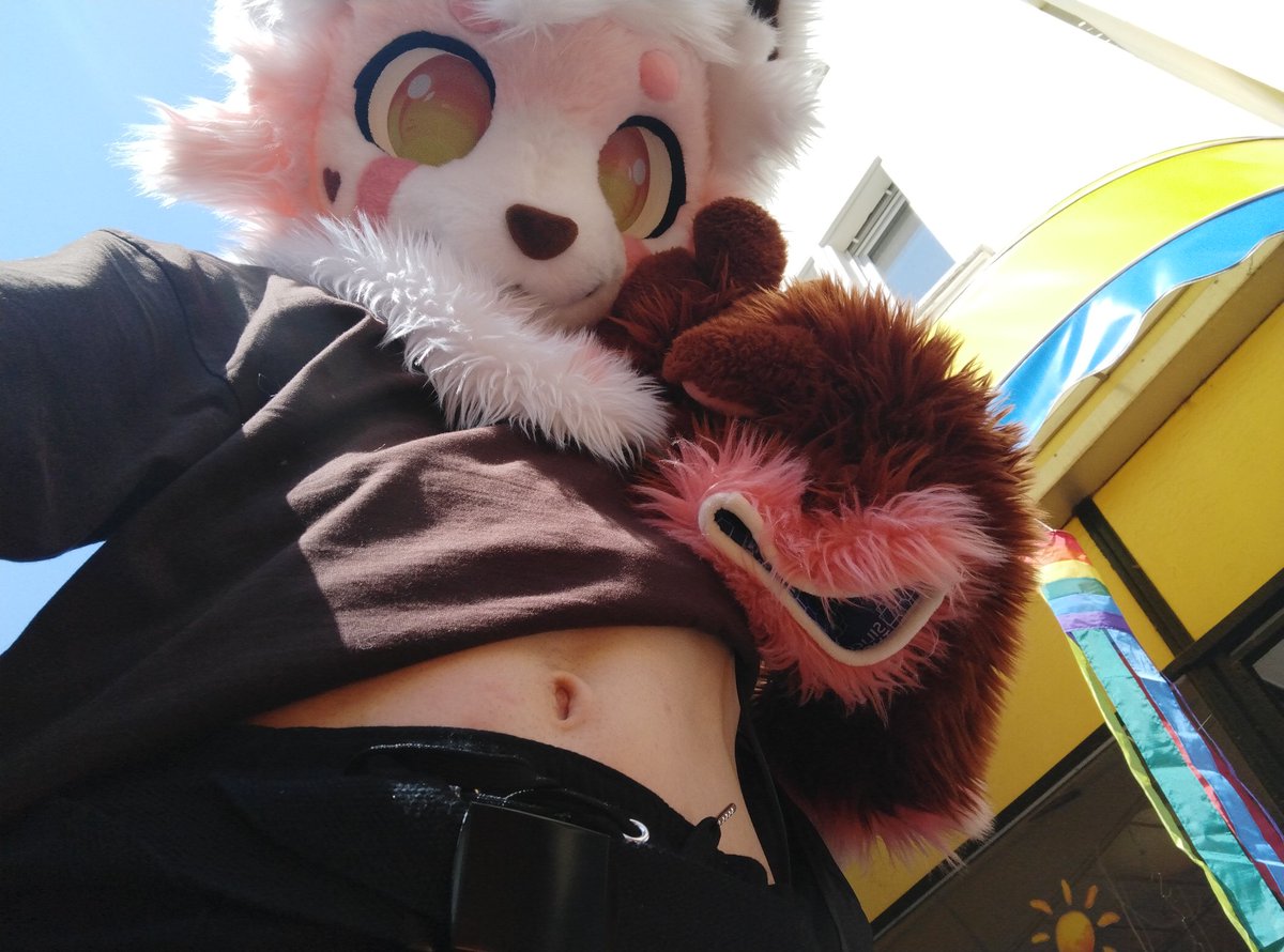 cappu_coffee0's tweet photo. I was on a furry walk a little while ago, it was super cool :3

I even got lend a furhead for that day https://t.co/IIU4b74P6Z