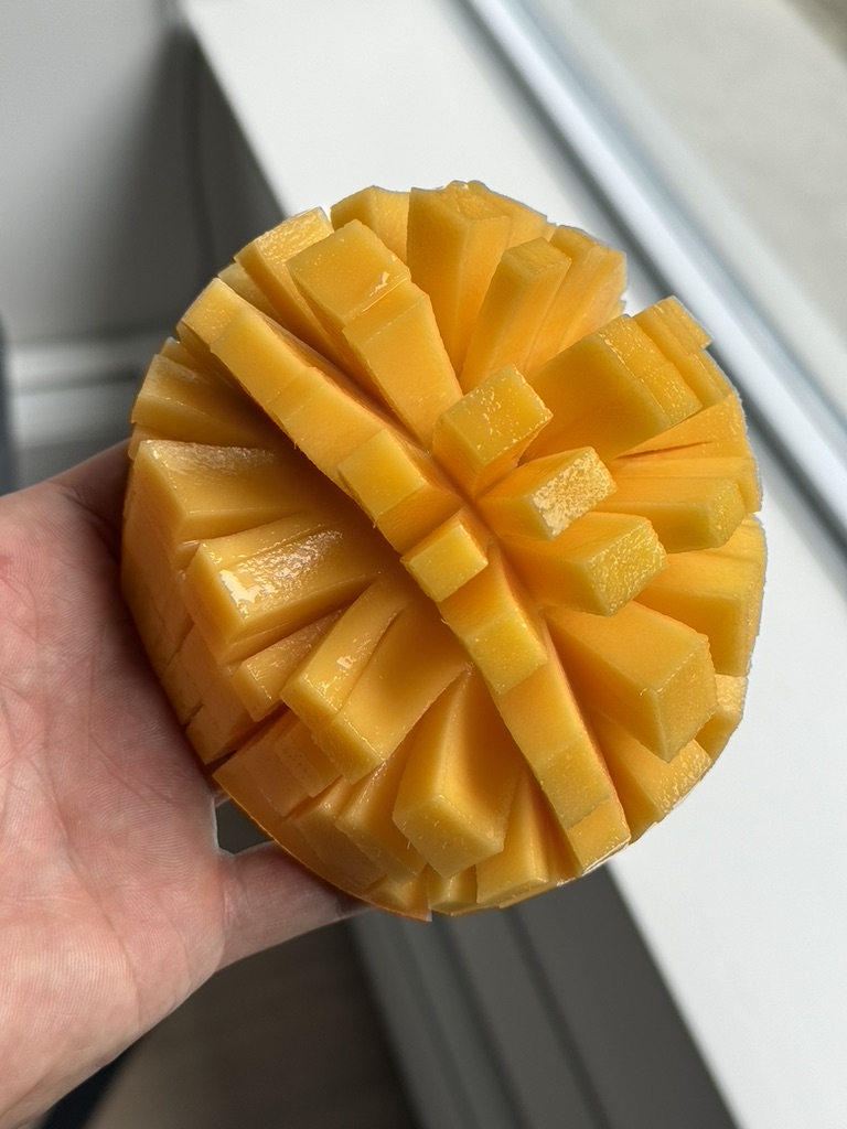 CoachDanGo's tweet photo. Mangoes are a top 2 fruit on the planet and they're not 2. https://t.co/iGVjcNA0BS
