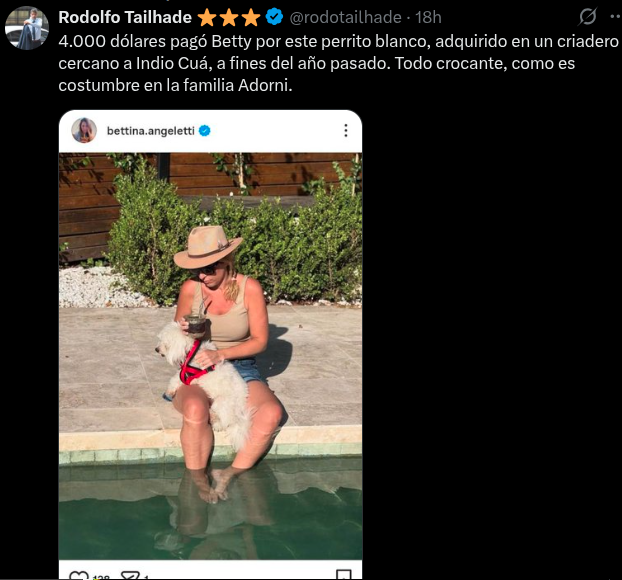 Mario Damiani tweet media