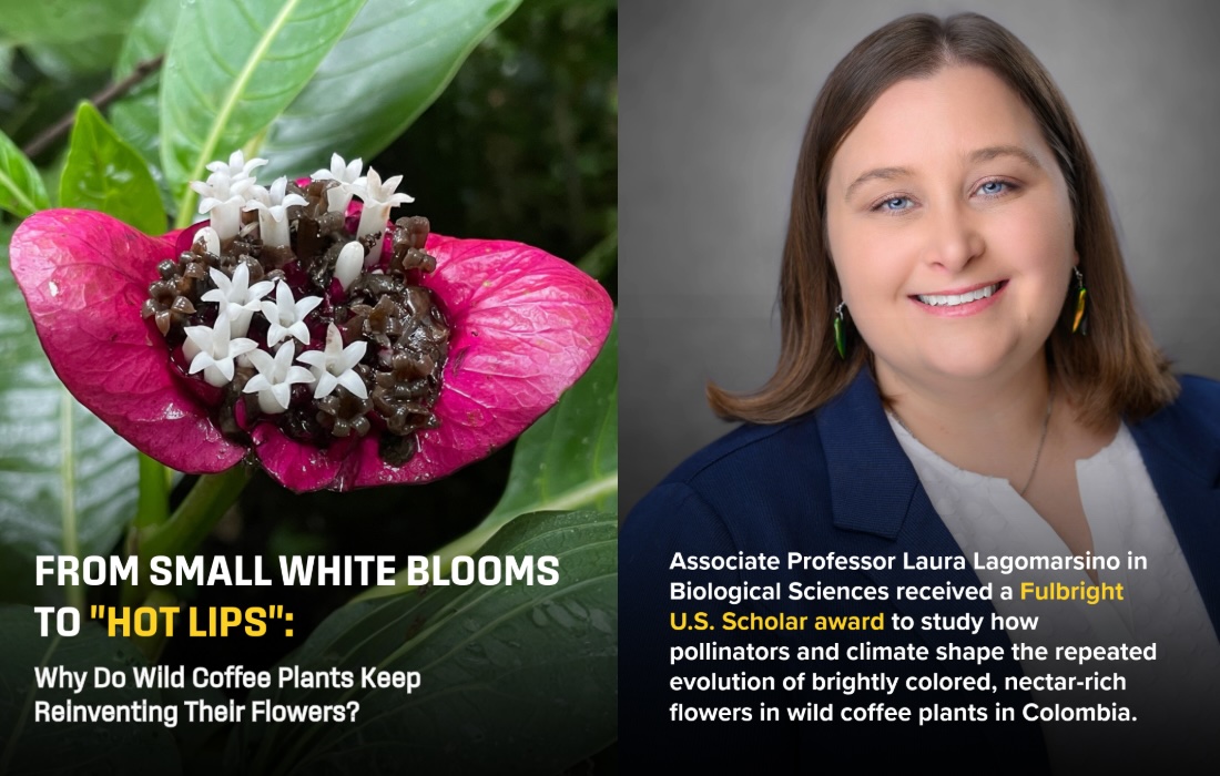LSU College of Science tweet media