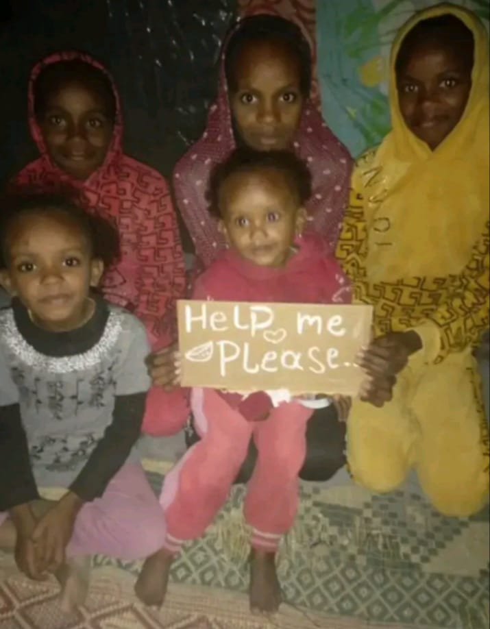 Nour Jamaan from Gaza tweet media