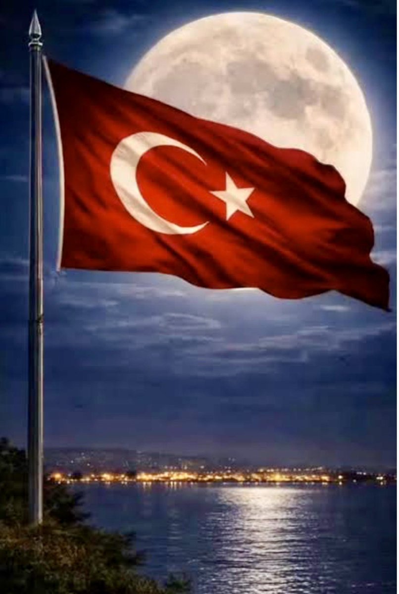 Ahmet Karakaya tweet media