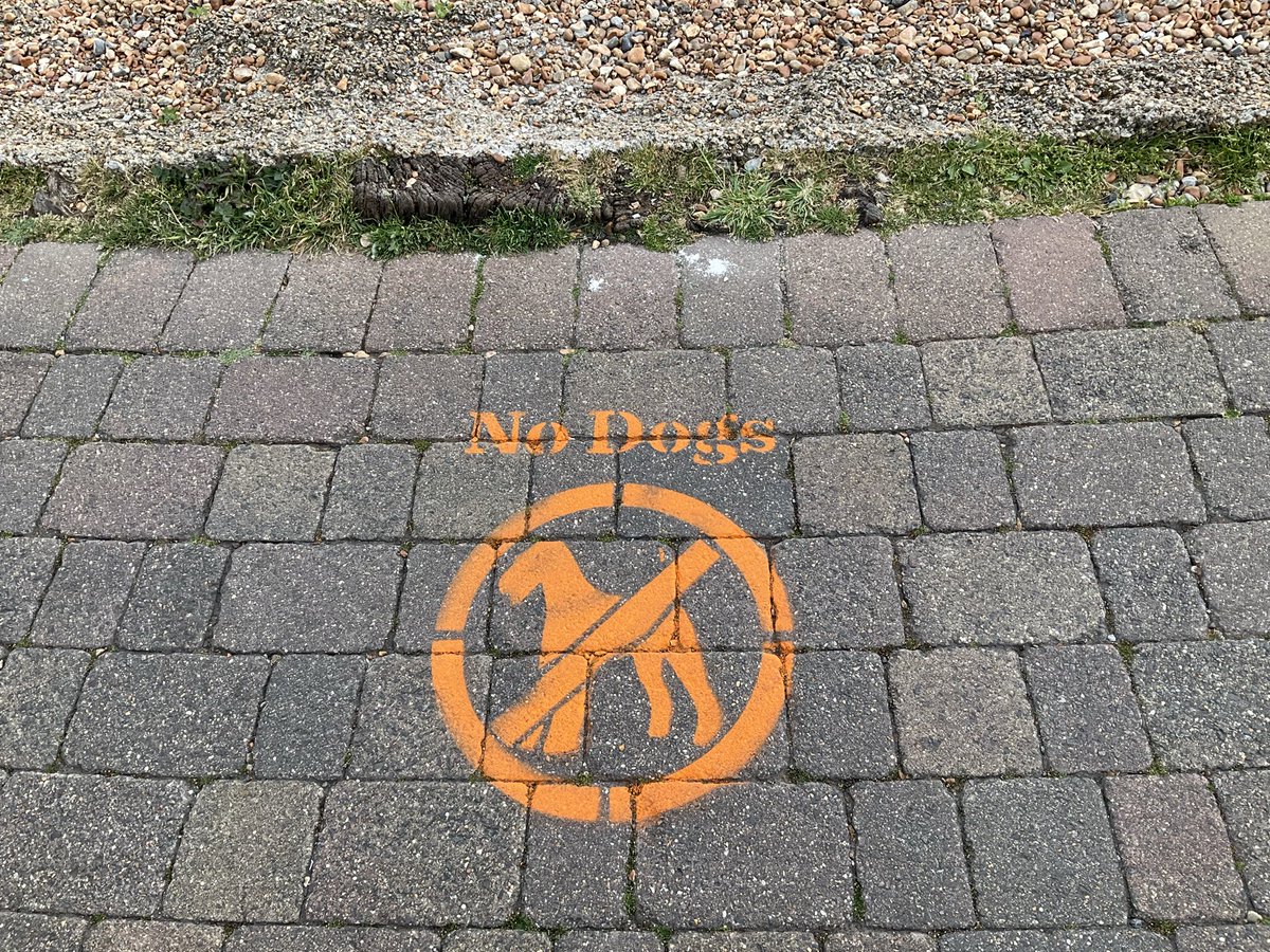 Simoncitizen's tweet photo. It’s the season: #NoDogs on the #beach that goes for leaving your dog confined in an echoing back yard garden with slabs or concrete & only walls to reflect the #barking protest from abusive dogs abused by owners. Dogs are #Codependent same as owners do not leave them unattended. https://t.co/5Ixw3FAJ3Z