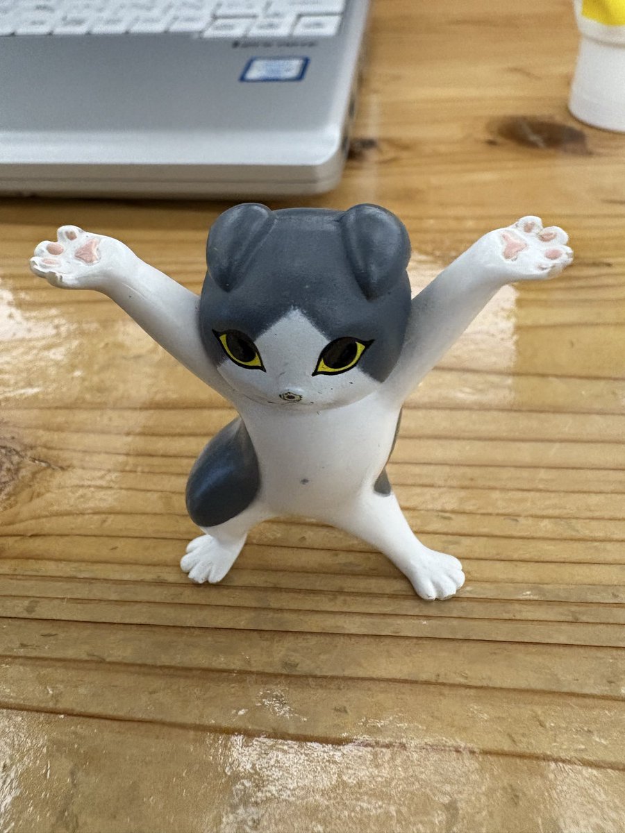 コロ😸マルチライセンス診断士 tweet media