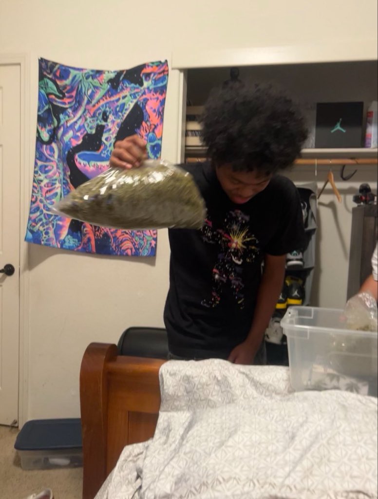 Lil Draco 🐍💚 tweet media