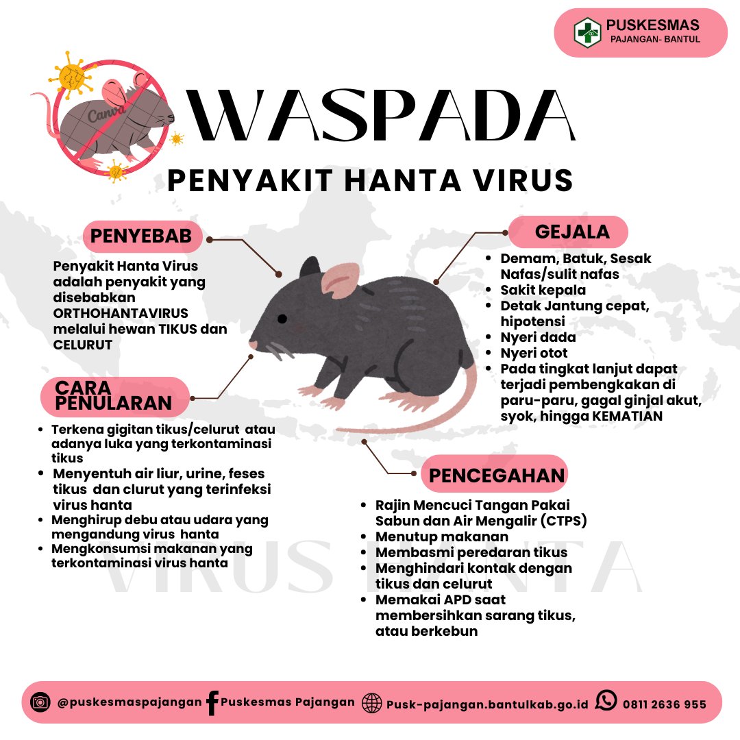 Sudah di prediksi dari empat tahun lalu Hantavirus, konspirasi elite global apalagi ini 😔😭