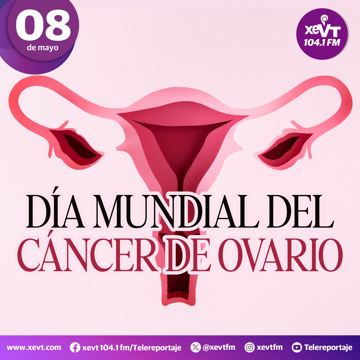 xevtfm's tweet photo. #08DeMayo | Día Mundial del Cáncer de Ovario
#LasEfemérides🗓️ #SeñalQueUne📡#XEVT🎙️ https://t.co/PjB7WKKDcv