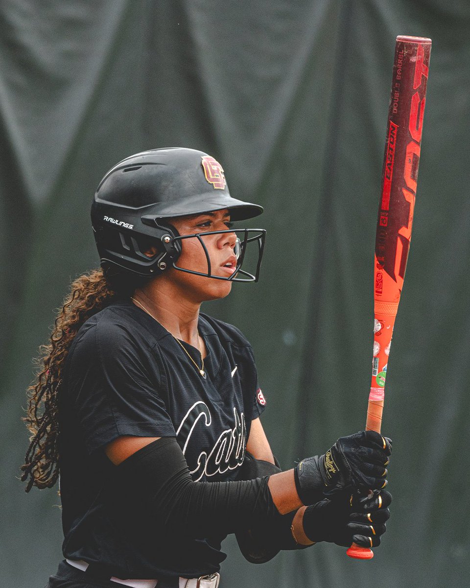 Bethune-Cookman Softball 🥎 tweet media