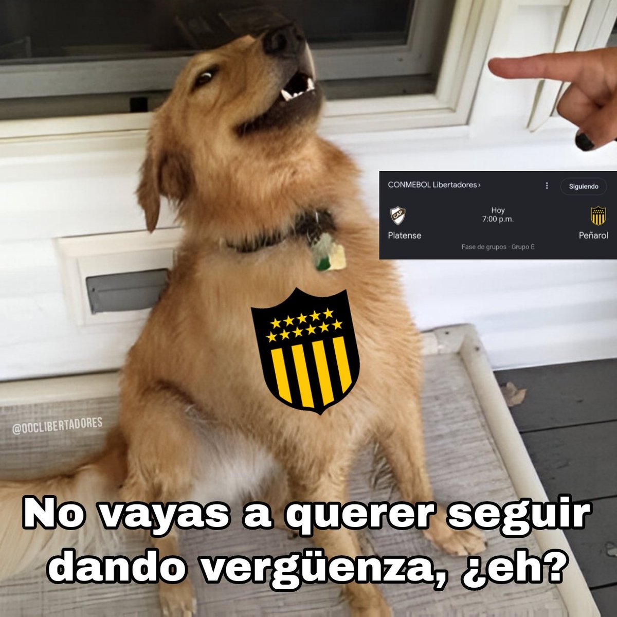 Out of Context Libertadores tweet media