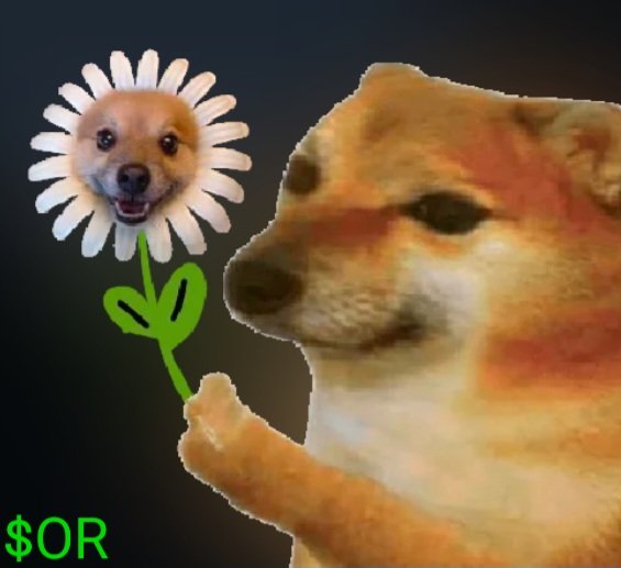 DogOrFlowerTON's tweet photo. @drae_drae22 @redotoken @durov @ton_blockchain @telegram Hi @drae_drae22 whats up?! https://t.co/mMKcTEH5Ew