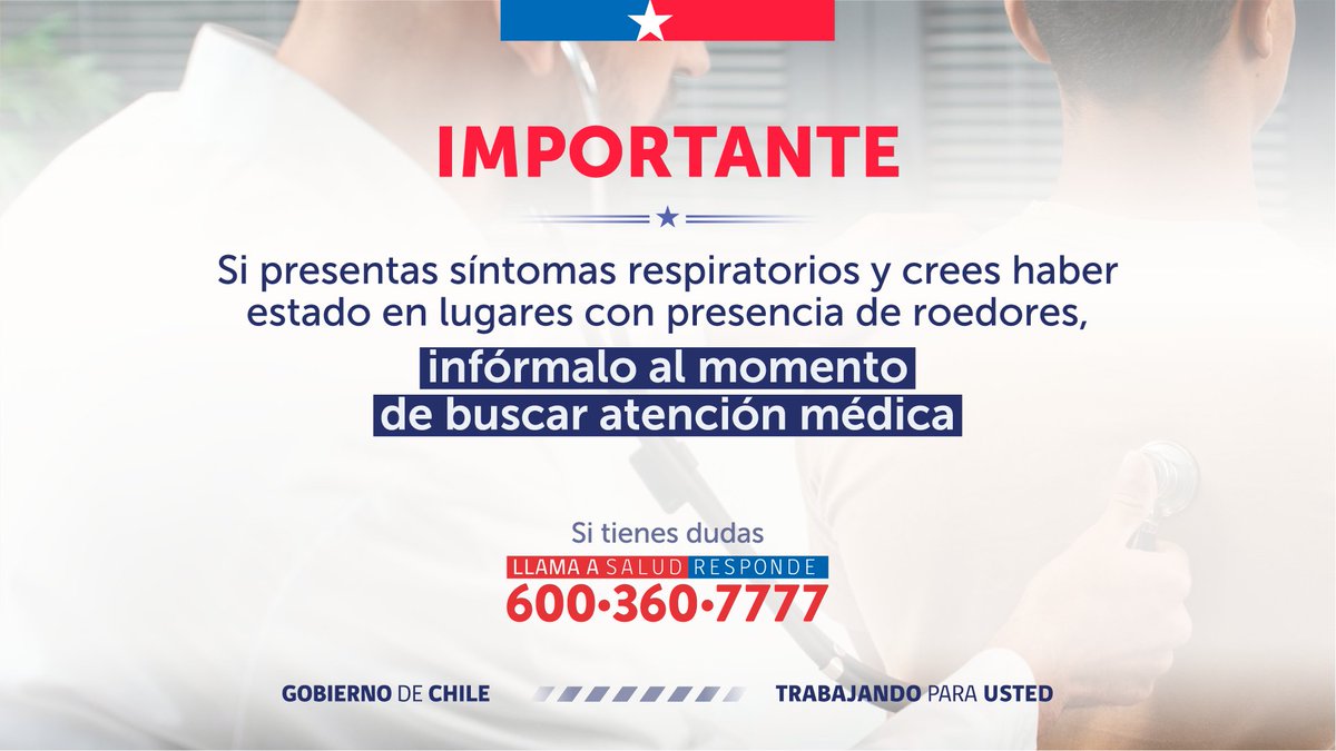 🚨 El virus Hanta es una enfermedad grave, por eso la prevención es fundamental.

En estas gráficas te dejamos recomendaciones importantes para que puedas cuidarte, reconocer los riesgos y proteger a quienes te rodean.