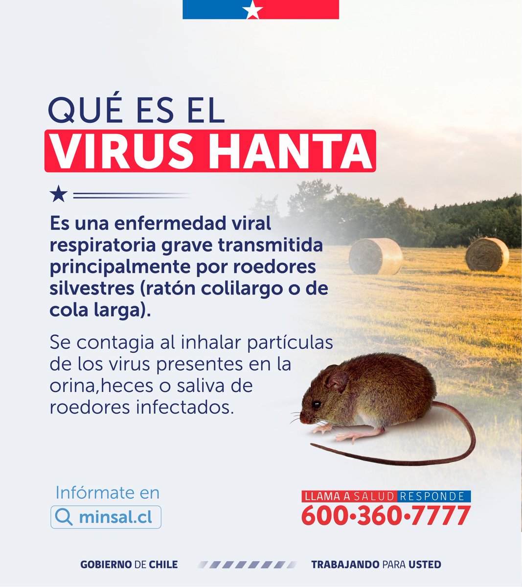 Ministerio de Salud tweet media