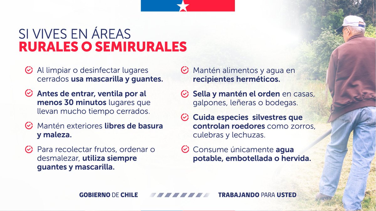 Ministerio de Salud tweet media