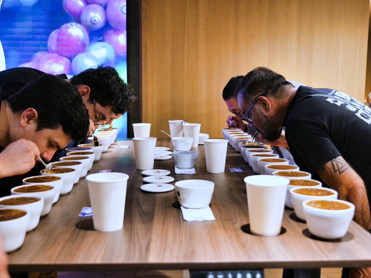 AdrianaMiraSV's tweet photo. El café salvadoreño llegó a la CDMX. 🇸🇻☕🇲🇽

Con el apoyo de @ISCafe_SV, acercamos nuestras variedades de origen a nuevos mercados mediante una cata sensorial y una experiencia de degustación dirigidas a empresarios mexicanos, posicionando nuestro grano de oro de especialidad. https://t.co/m1cYwHsESJ