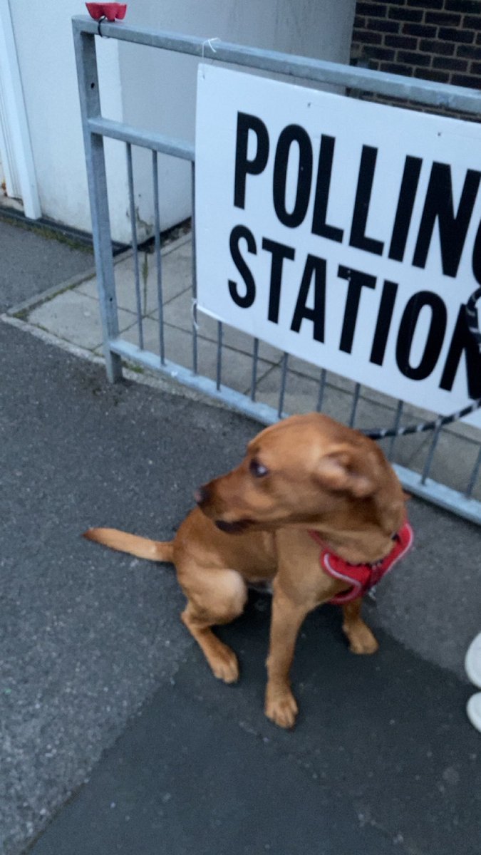 #DogsAtPollingStations