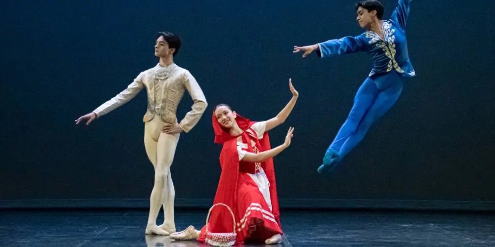 DANZADANCE ORG tweet media