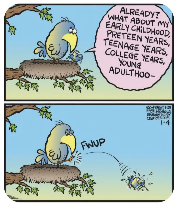 𝗥𝗲𝘀𝘂𝘀𝗠𝗲𝗱 tweet media