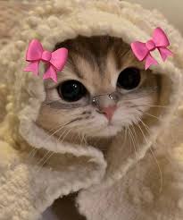 hey guysss... 
how are you guys doing today?