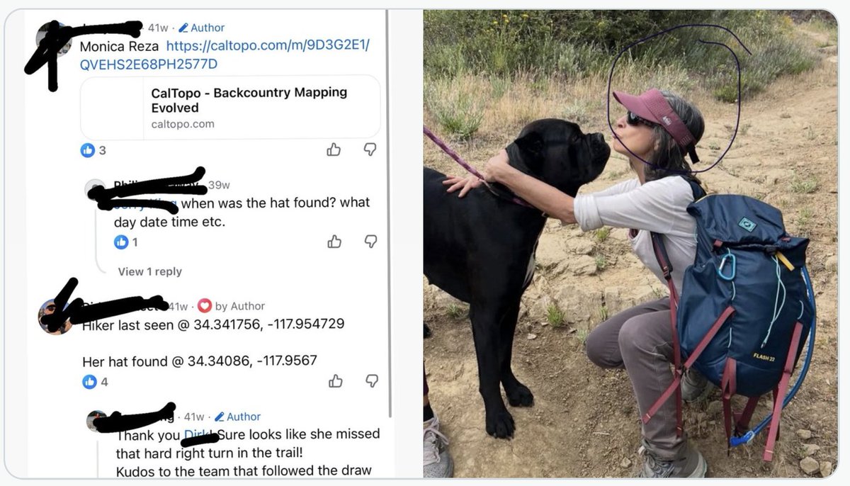 Dark Journalist tweet media