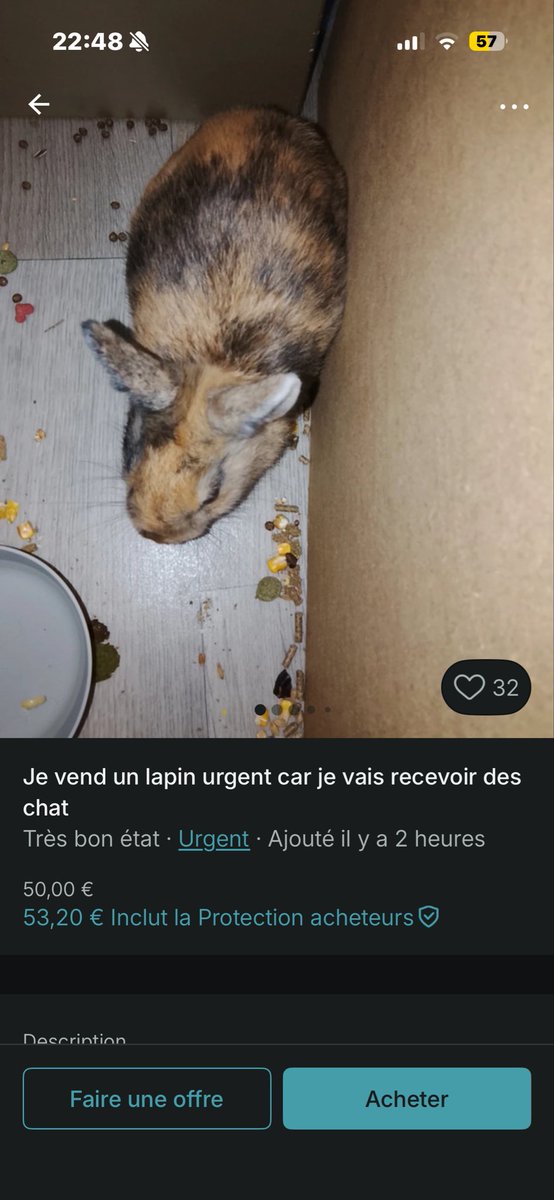 axelle tweet media