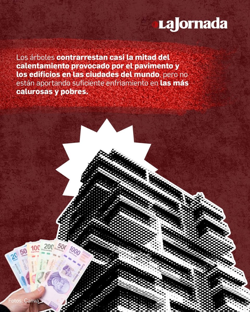 La Jornada tweet media