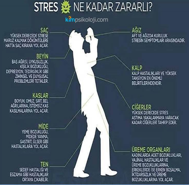 Kadir GÜNDOGDU 🇹🇷 tweet media
