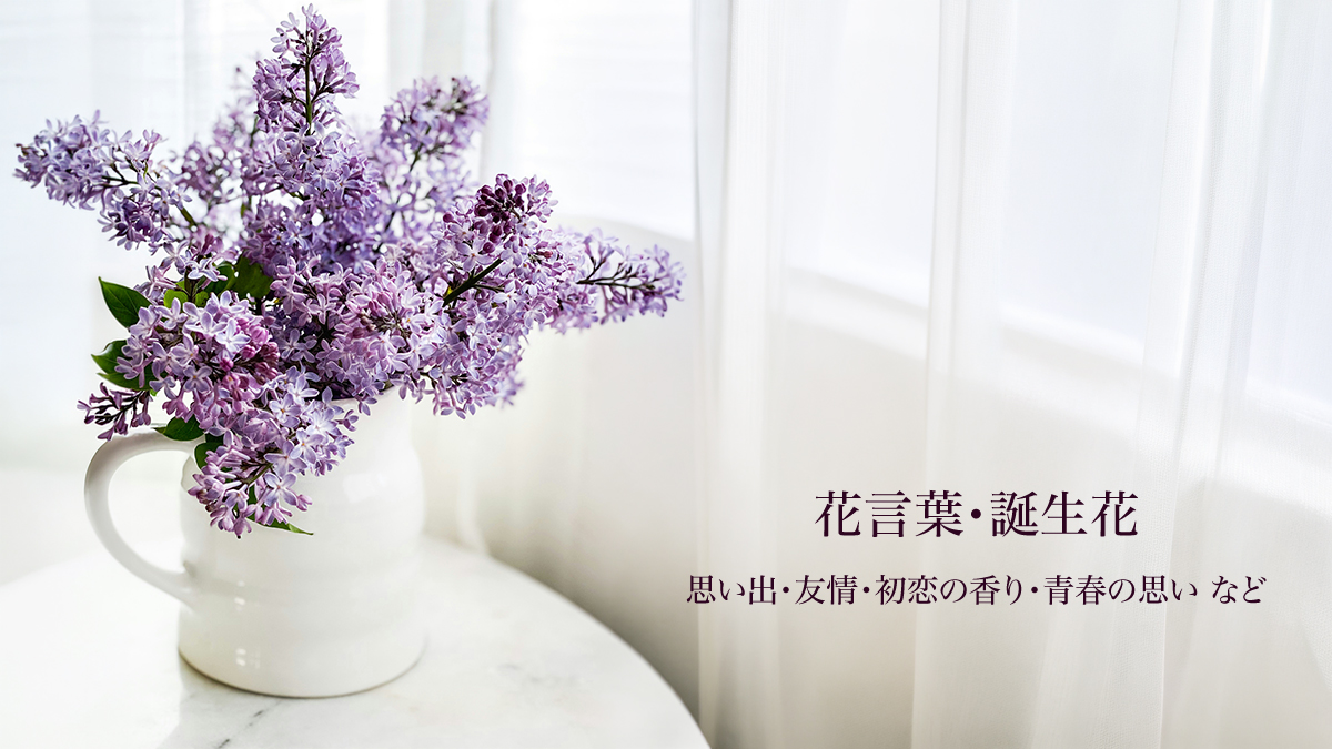 bsma13a's tweet photo. おはようございます。BeSmileです。
5/11（月）の誕生花はライラックです。友情の花言葉のように、人とのつながりを大切にしながら、本日も穏やかに過ごしてまいりましょう。

#就労継続支援A型 #大阪 #BeSmile #誕生花 #ライラック https://t.co/wu9iBTLzsb