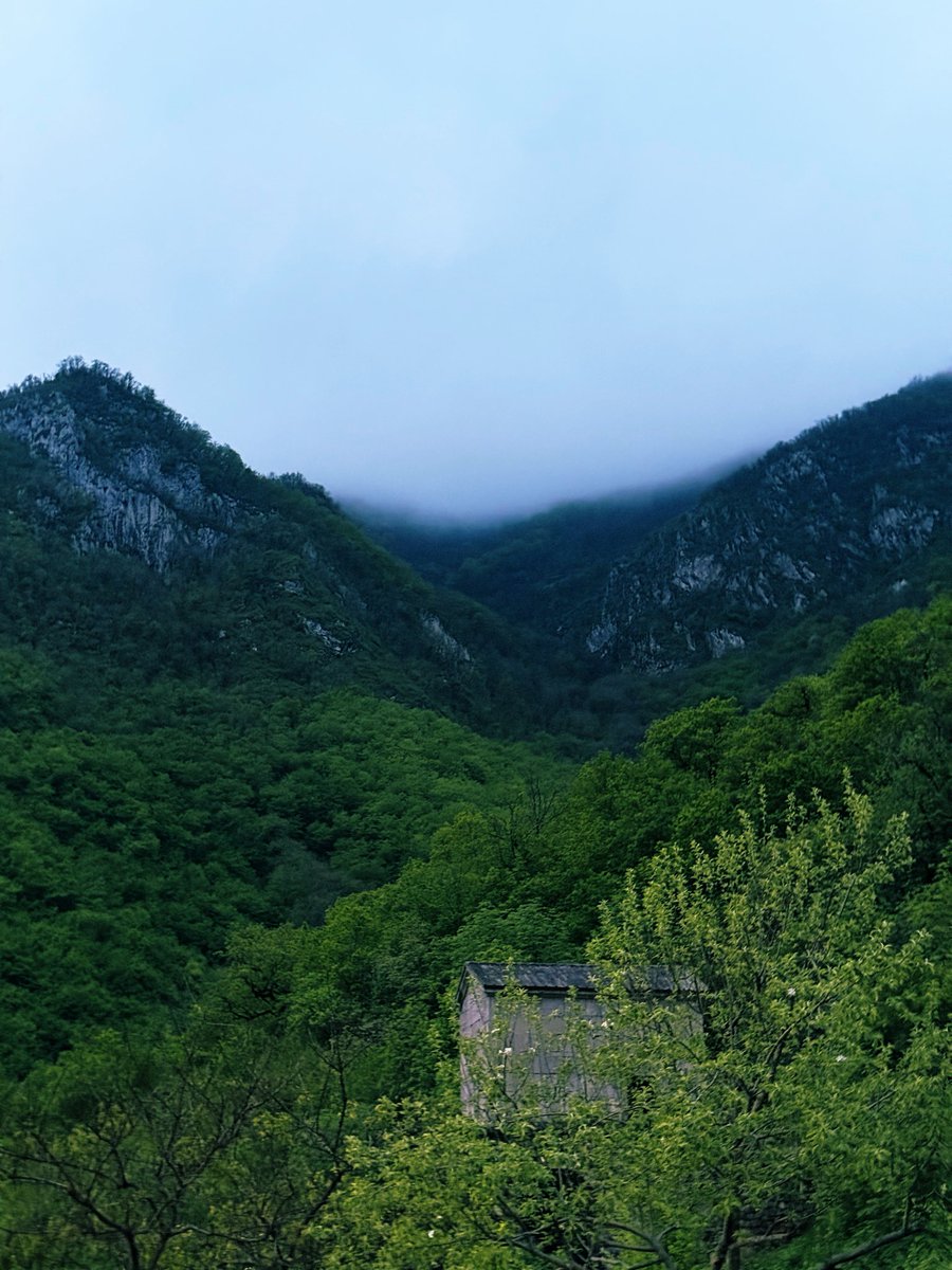 exec_void's tweet photo. 🌬️🫧🌳🐦‍🔥☁️🌷🎼🎨⛰️ https://t.co/TL3LXwy2uC