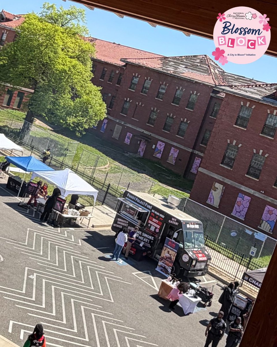 CherryBlossFest's tweet photo. Thank you, @sycamoreoak, for creating an incredible Blossom Block, transforming their vibrant community space into the Blossom Block Festival. 

Guests came together to support local businesses and celebrate culture and community in the heart of SE DC. 🌸 https://t.co/umCAOGr0AQ