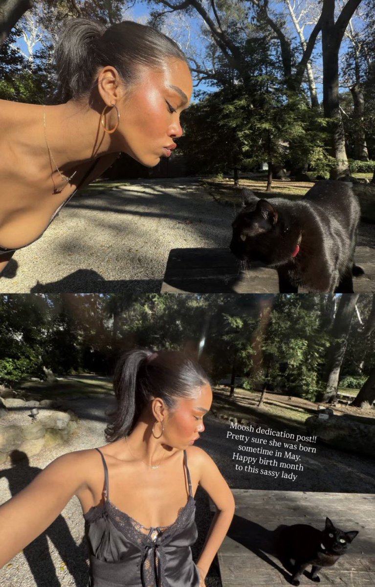 mooshmark's tweet photo. Moosh featured on @ambermark’s story. https://t.co/QlgMnx13HD