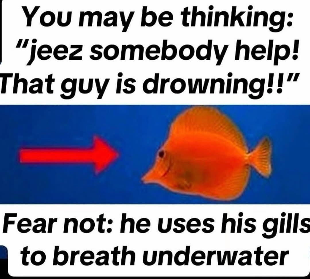 nocontextmemes's tweet photo. https://t.co/68iyyJw8ku