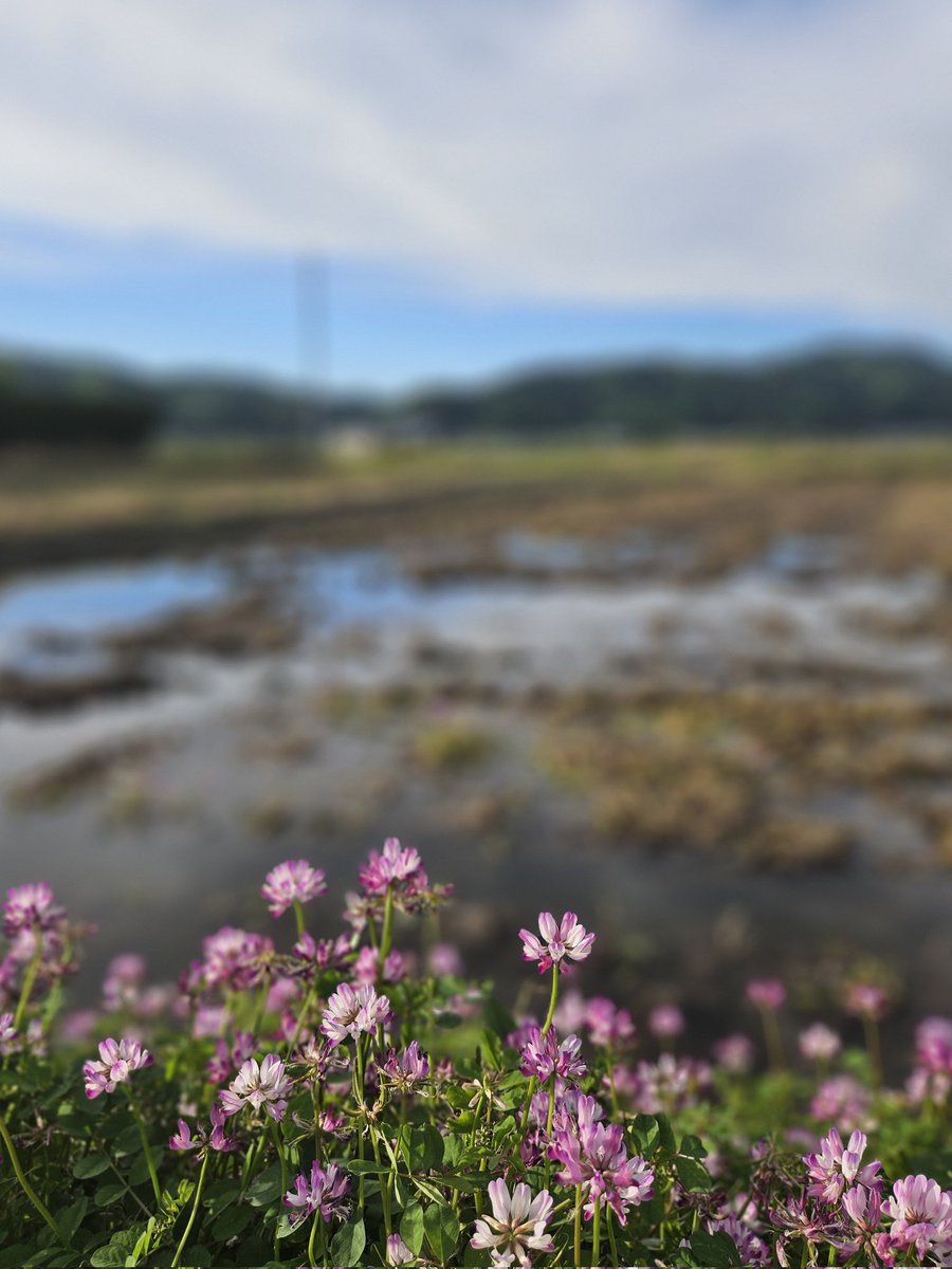 村雨 tweet media
